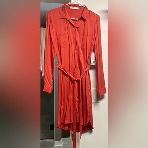 Button up, long sleeve dress